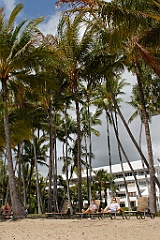 0051 Palm Cove